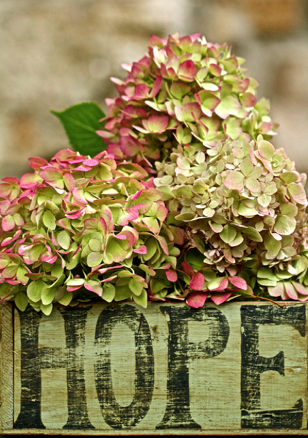 Screen shot 2015-09-21 at 4.13.54 PM