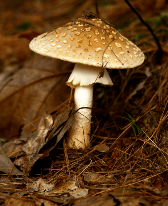 Screen shot 2015-09-25 at 3.37.38 PM