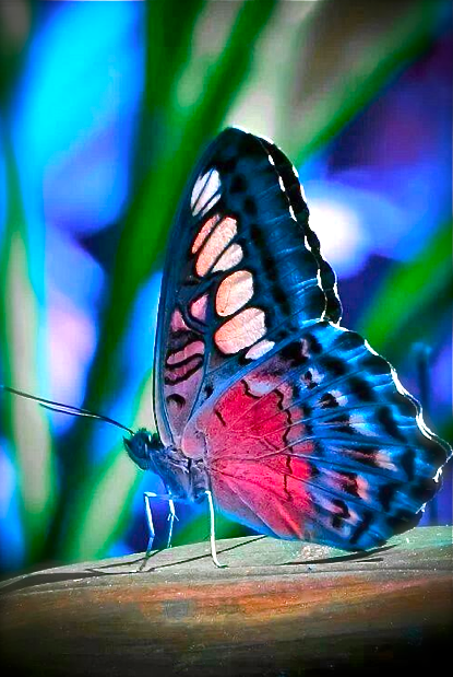 Screen shot 2015-09-28 at 2.28.14 PM