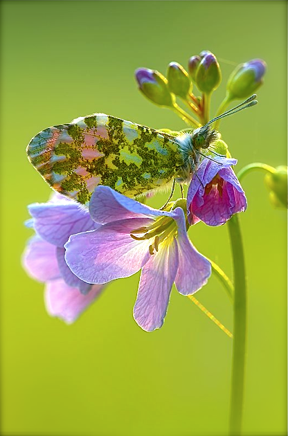 Screen shot 2015-09-28 at 2.28.57 PM