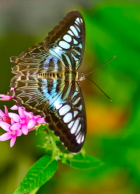 Screen shot 2015-09-28 at 2.36.33 PM