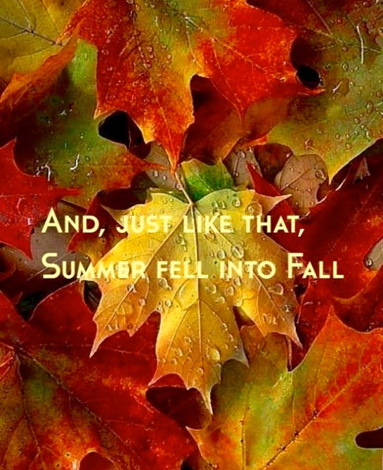 Screen Shot 2015-09-30 at 3.41.00 PM