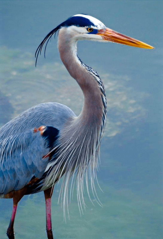 Screen Shot 2015-10-03 at 5.44.33 PM