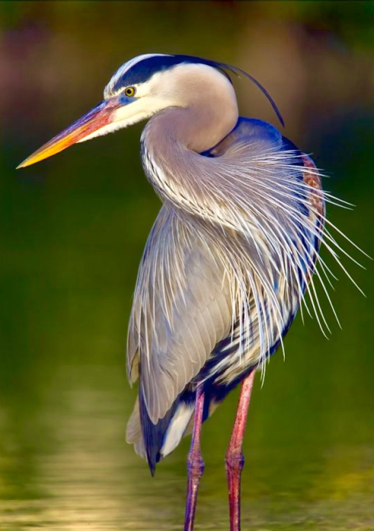 Screen Shot 2015-10-03 at 6.05.46 PM