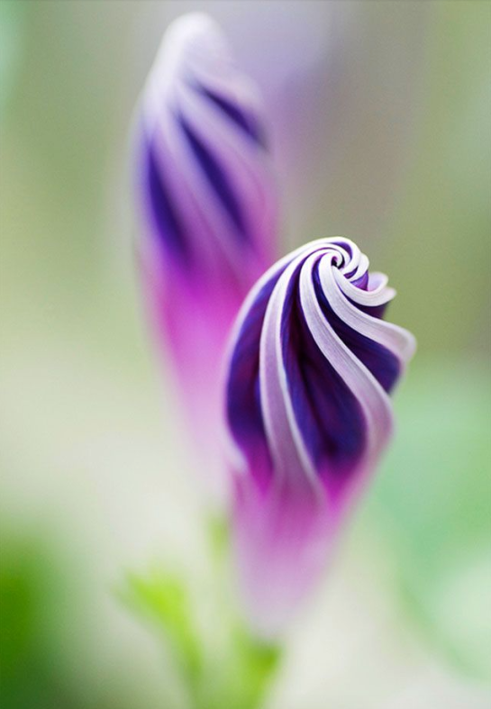 Screen Shot 2015-10-06 at 4.30.09 PM