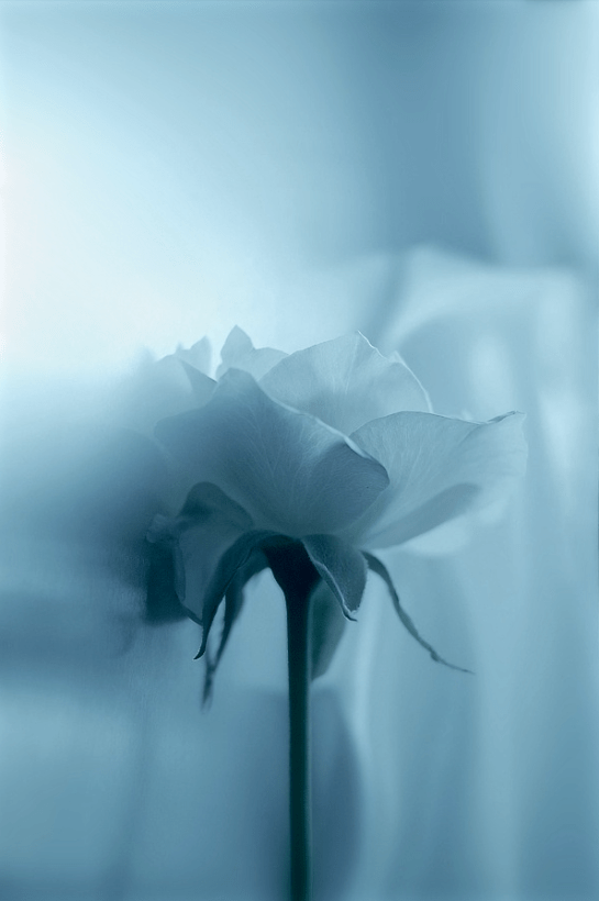 Screen Shot 2015-10-10 at 10.54.19 PM