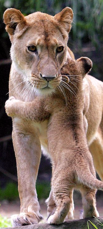 Screen Shot 2015-10-14 at 10.36.29 PM