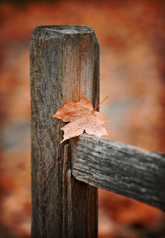 Screen Shot 2015-10-14 at 6.51.52 PM