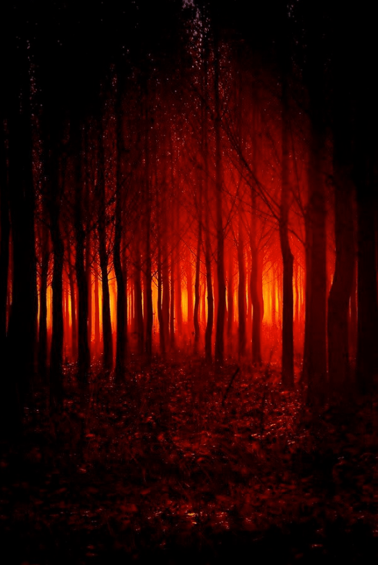 Screen Shot 2015-10-14 at 6.53.18 PM