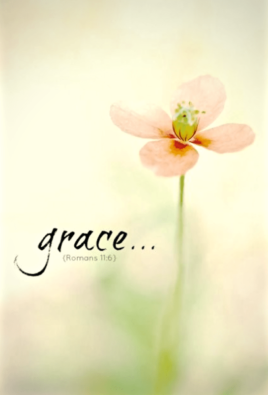 Screen Shot 2015-10-15 at 3.35.17 PM