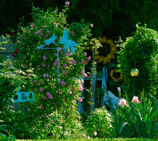 Screen Shot 2015-10-16 at 6.06.35 PM