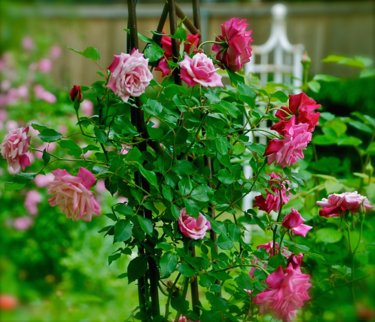 Screen Shot 2015-10-16 at 6.07.00 PM