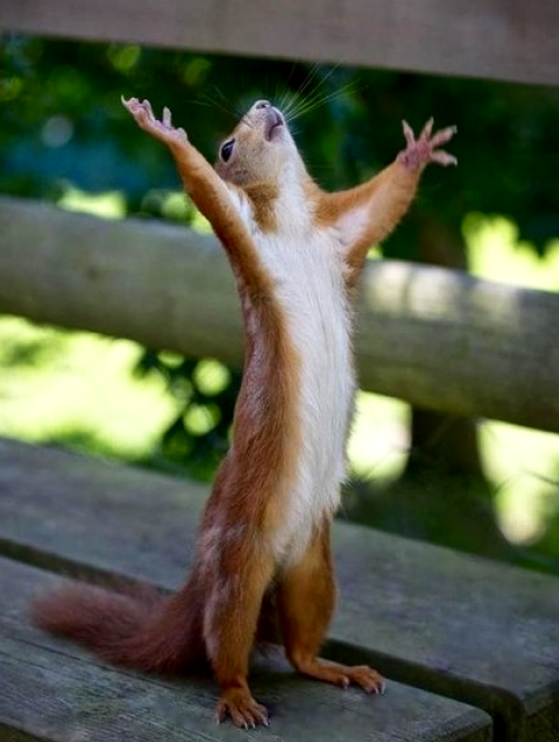 Screen Shot 2015-10-19 at 5.28.34 PM