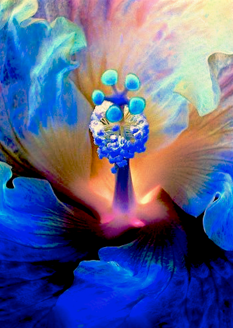 Screen Shot 2015-10-21 at 8.14.11 PM