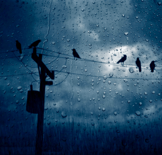 Screen Shot 2015-10-23 at 6.28.05 PM