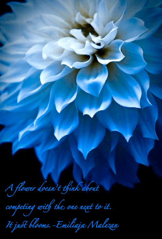 Screen Shot 2015-10-26 at 4.28.47 PM