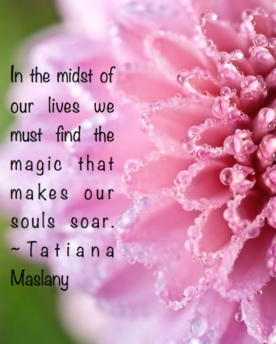 Screen Shot 2015-10-28 at 8.50.01 AM