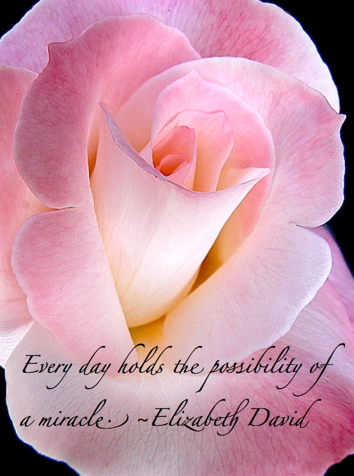 Screen Shot 2015-10-29 at 10.10.00 AM