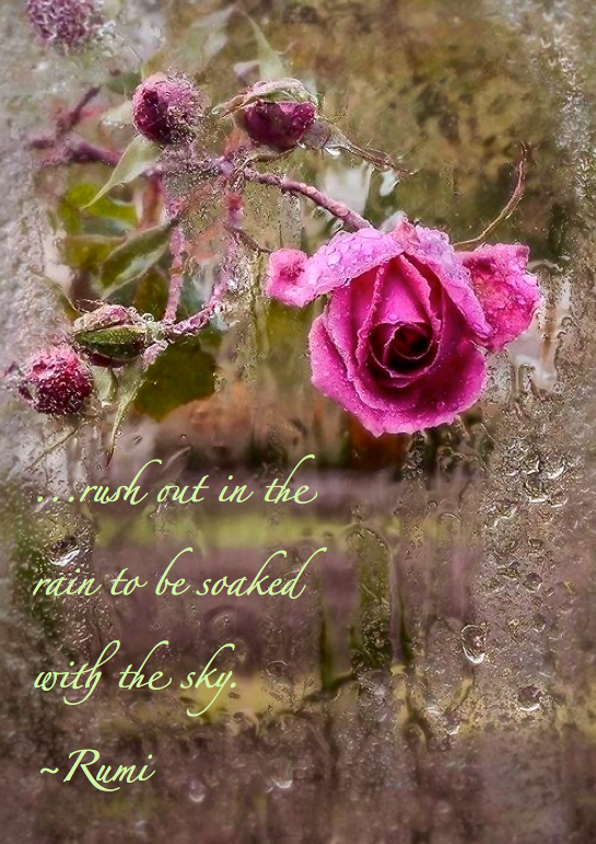 Screen Shot 2015-10-30 at 9.22.10 AM