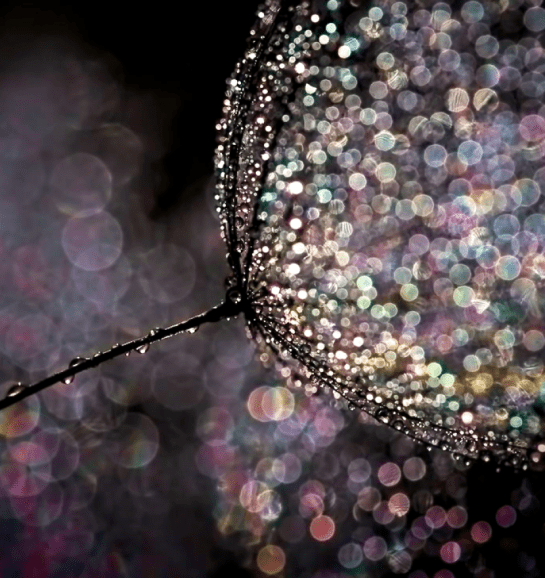 Screen Shot 2015-11-01 at 2.48.18 PM