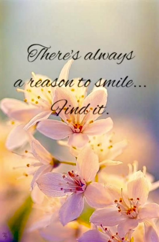 Screen Shot 2015-11-04 at 7.35.58 PM