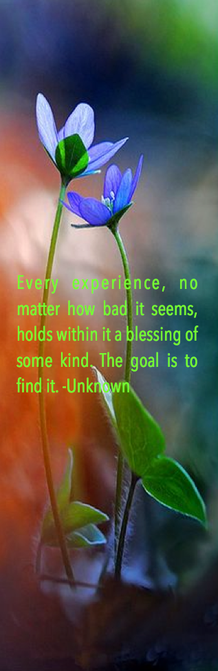 Screen Shot 2015-11-05 at 9.52.59 AM