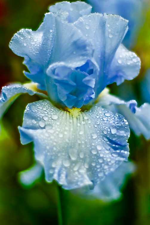 Screen Shot 2015-11-08 at 3.28.22 PM