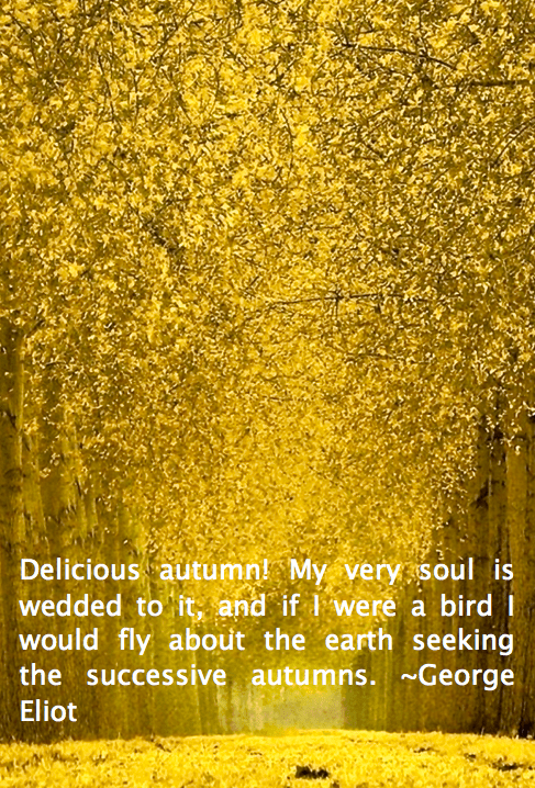 Screen Shot 2015-11-09 at 11.00.32 AM