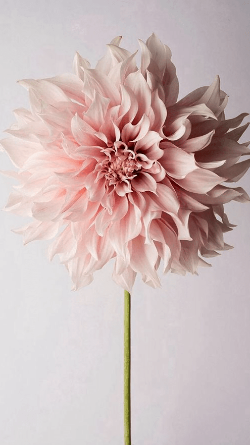 Screen Shot 2015-11-13 at 2.42.29 PM