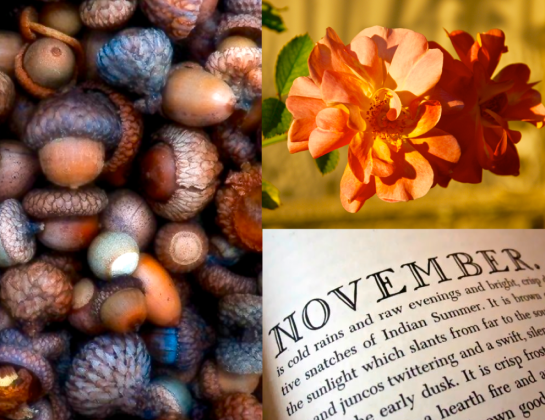 Screen Shot 2015-11-19 at 8.23.57 PM