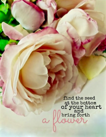 Screen Shot 2015-11-19 at 9.19.19 AM.png