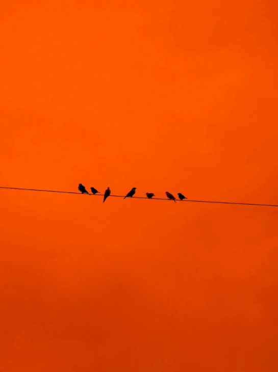 Screen Shot 2015-11-20 at 7.17.31 PM