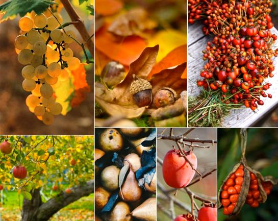 Screen Shot 2015-11-22 at 7.54.58 PM