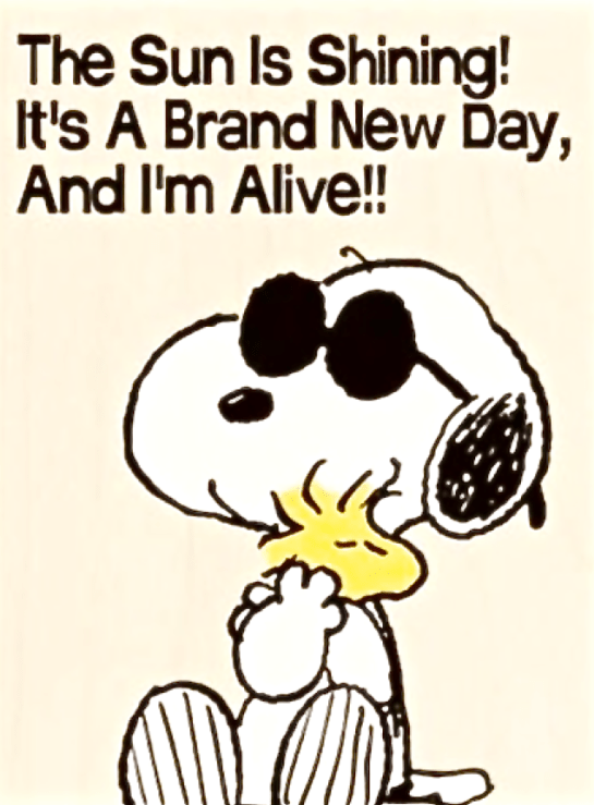 Screen Shot 2015-11-23 at 9.51.57 AM.png