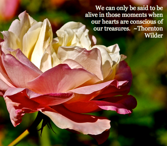 Screen Shot 2015-11-26 at 2.37.22 PM