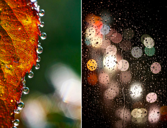 Screen Shot 2015-11-27 at 6.15.09 PM.png