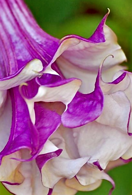 Screen Shot 2015-11-28 at 10.30.53 AM