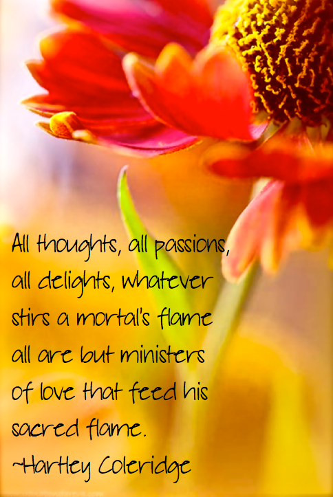 Screen Shot 2015-11-29 at 8.36.49 PM.png