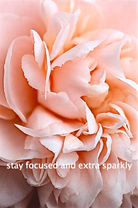 Screen Shot 2015-11-29 at 9.40.15 AM.png