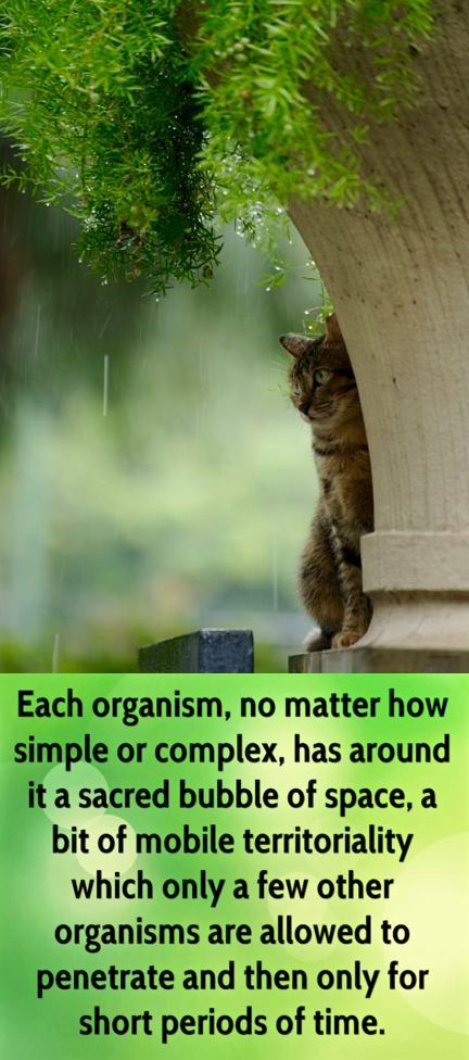 Screen Shot 2015-11-30 at 10.18.52 AM.png