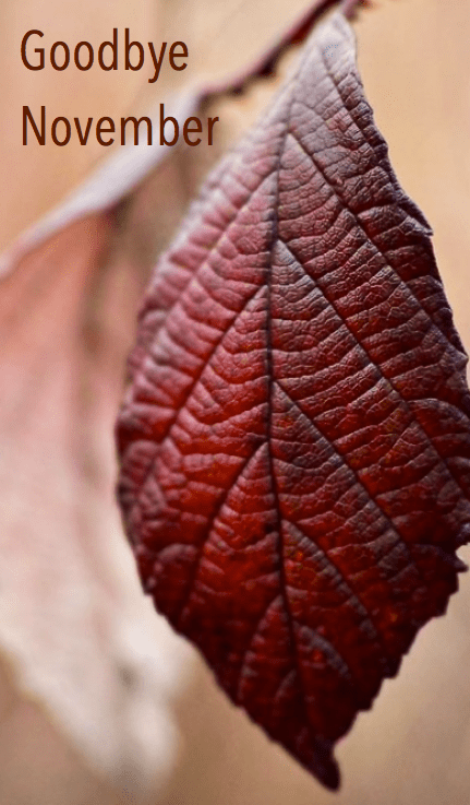 Screen Shot 2015-11-30 at 9.13.15 PM.png