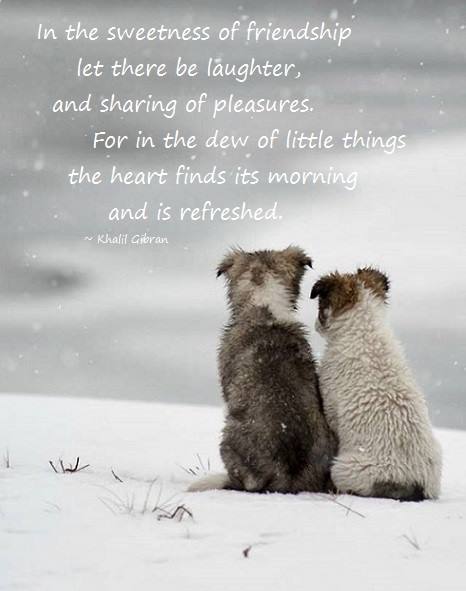 12373352_534243470074328_8671832364473641_n