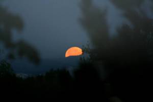 poetry and image copyright neha 2015