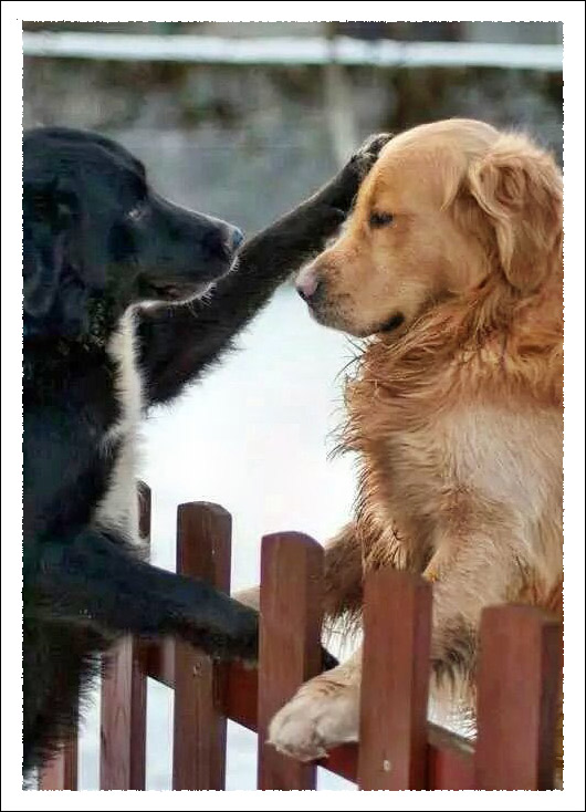 More-Than-Good-Friends