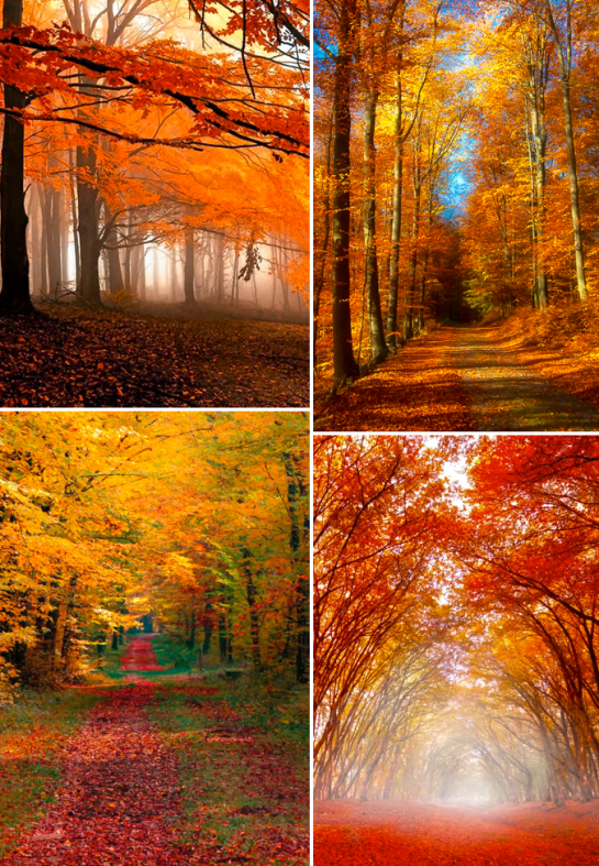 Screen Shot 2015-12-03 at 3.32.43 PM.png