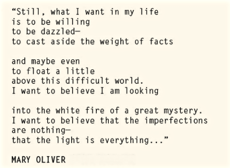 Screen Shot 2015-12-03 at 7.38.09 AM.png