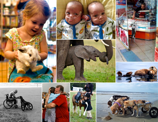 Screen Shot 2015-12-07 at 7.36.57 PM.png