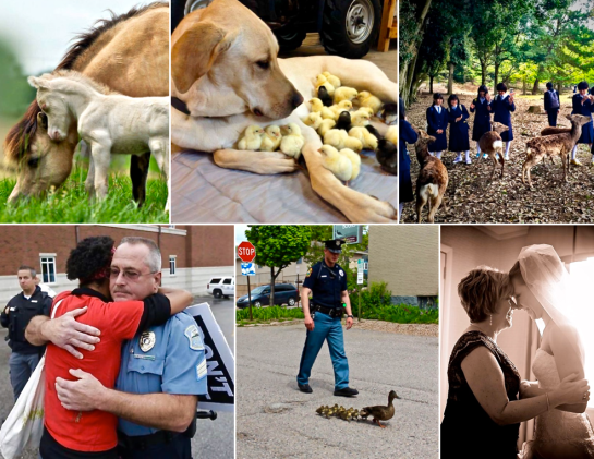 Screen Shot 2015-12-07 at 7.44.15 PM.png