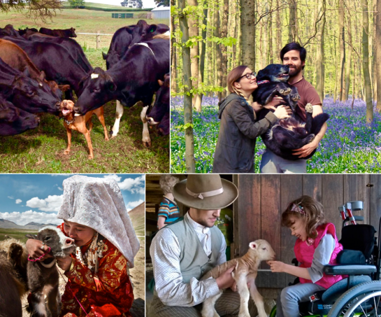 Screen Shot 2015-12-07 at 7.53.20 PM.png