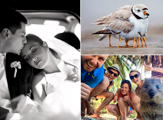 Screen Shot 2015-12-07 at 7.55.28 PM.png